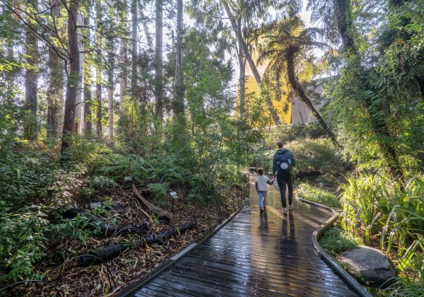 Forest Gallery