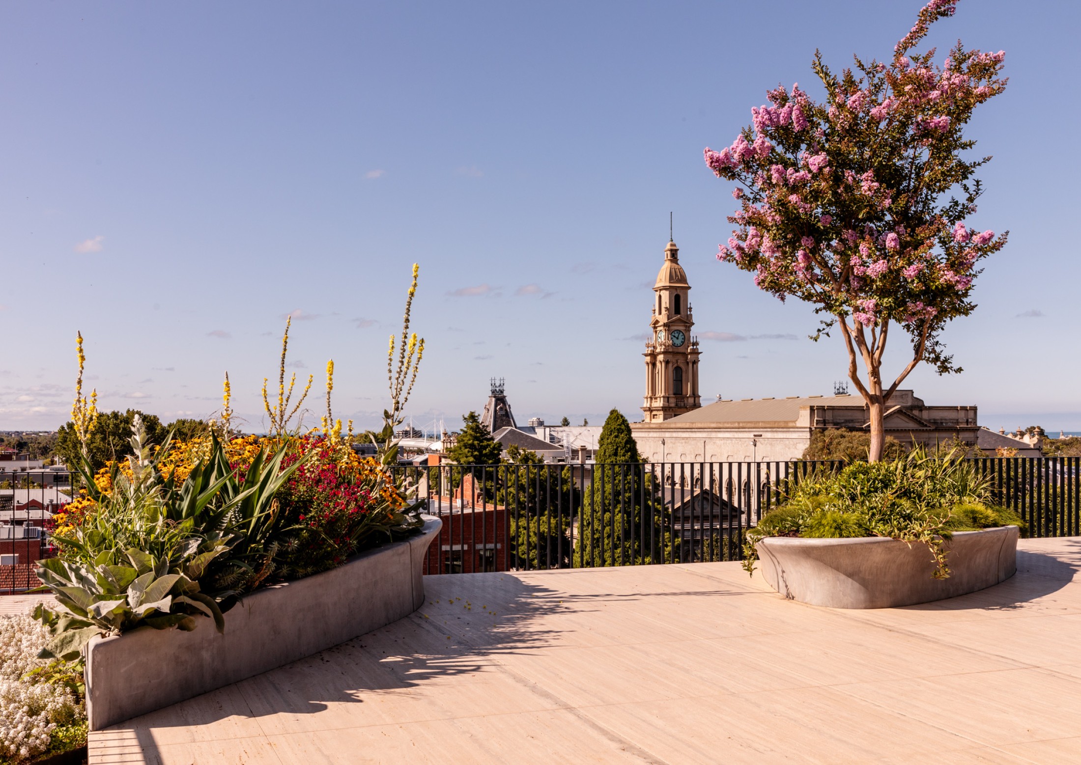 Piccolo Rooftop
