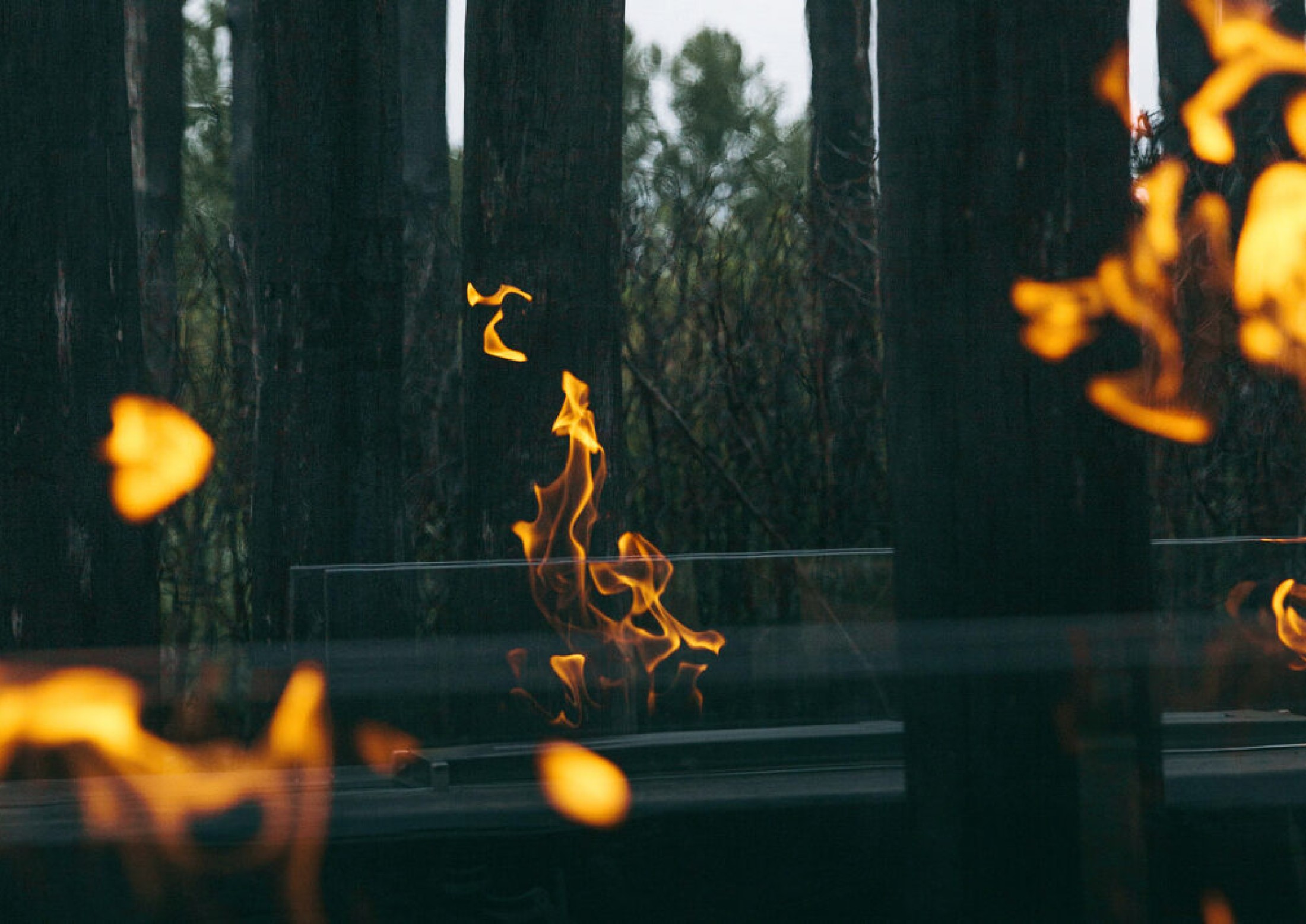 Cultivated by Fire