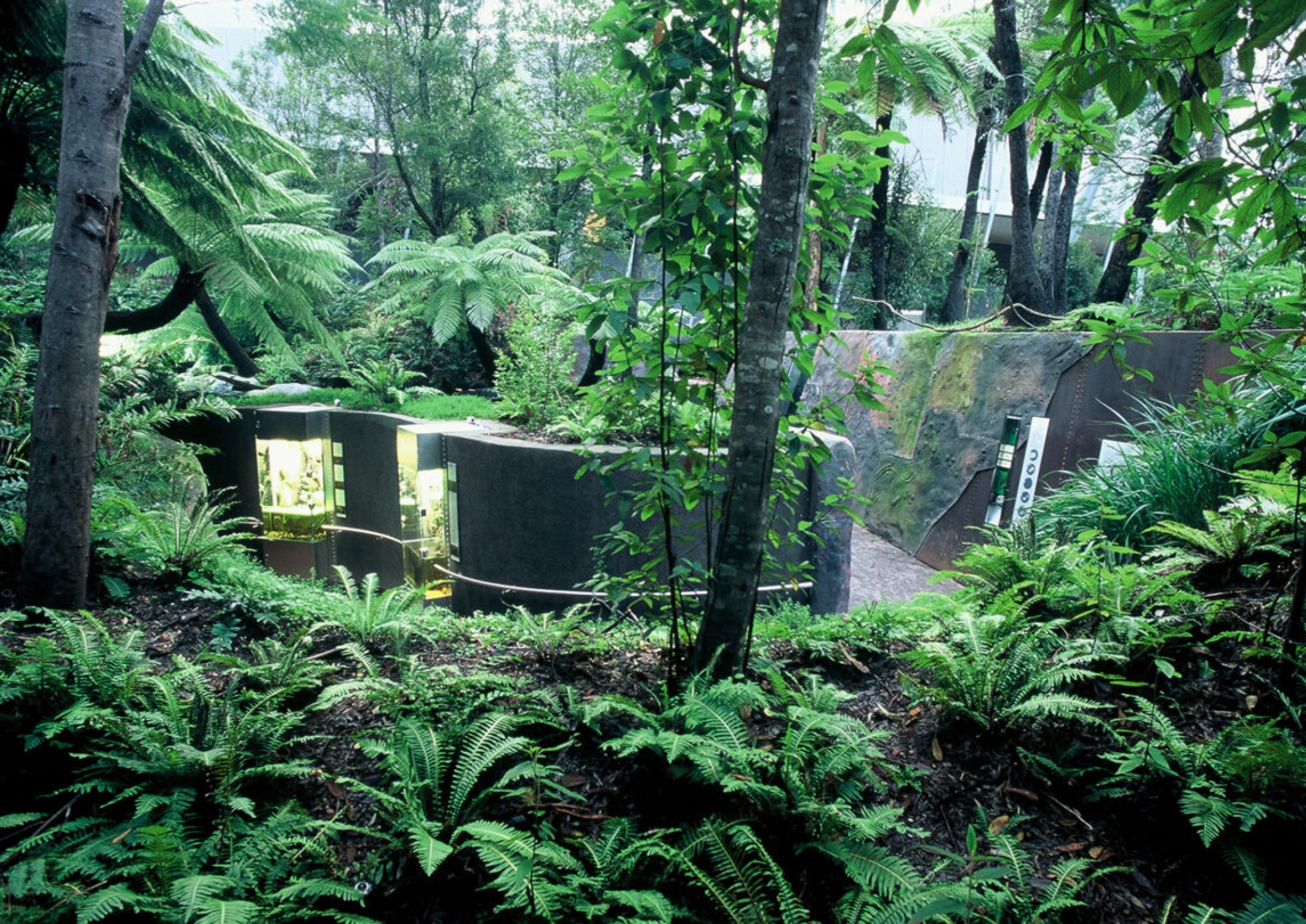 Forest Gallery