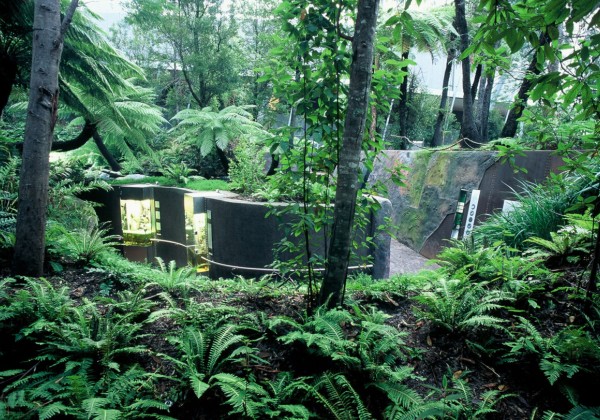 Forest Gallery